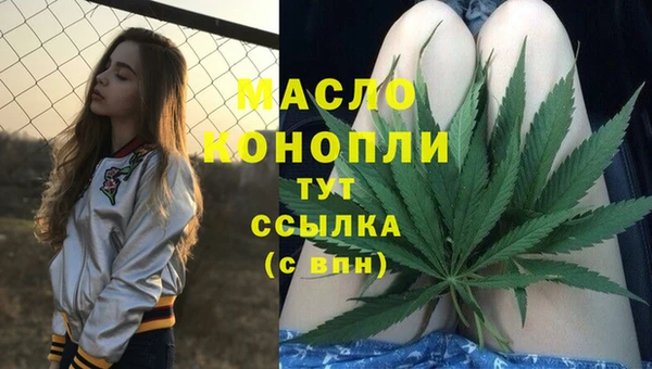 мет Новодвинск