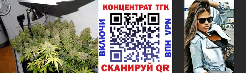 ОМГ ОМГ ТОР  Куровское  ТГК концентрат 