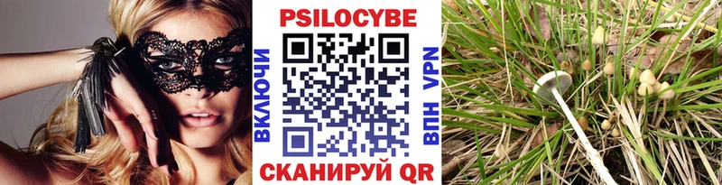 наркотики  Куровское  Псилоцибиновые грибы GOLDEN TEACHER 